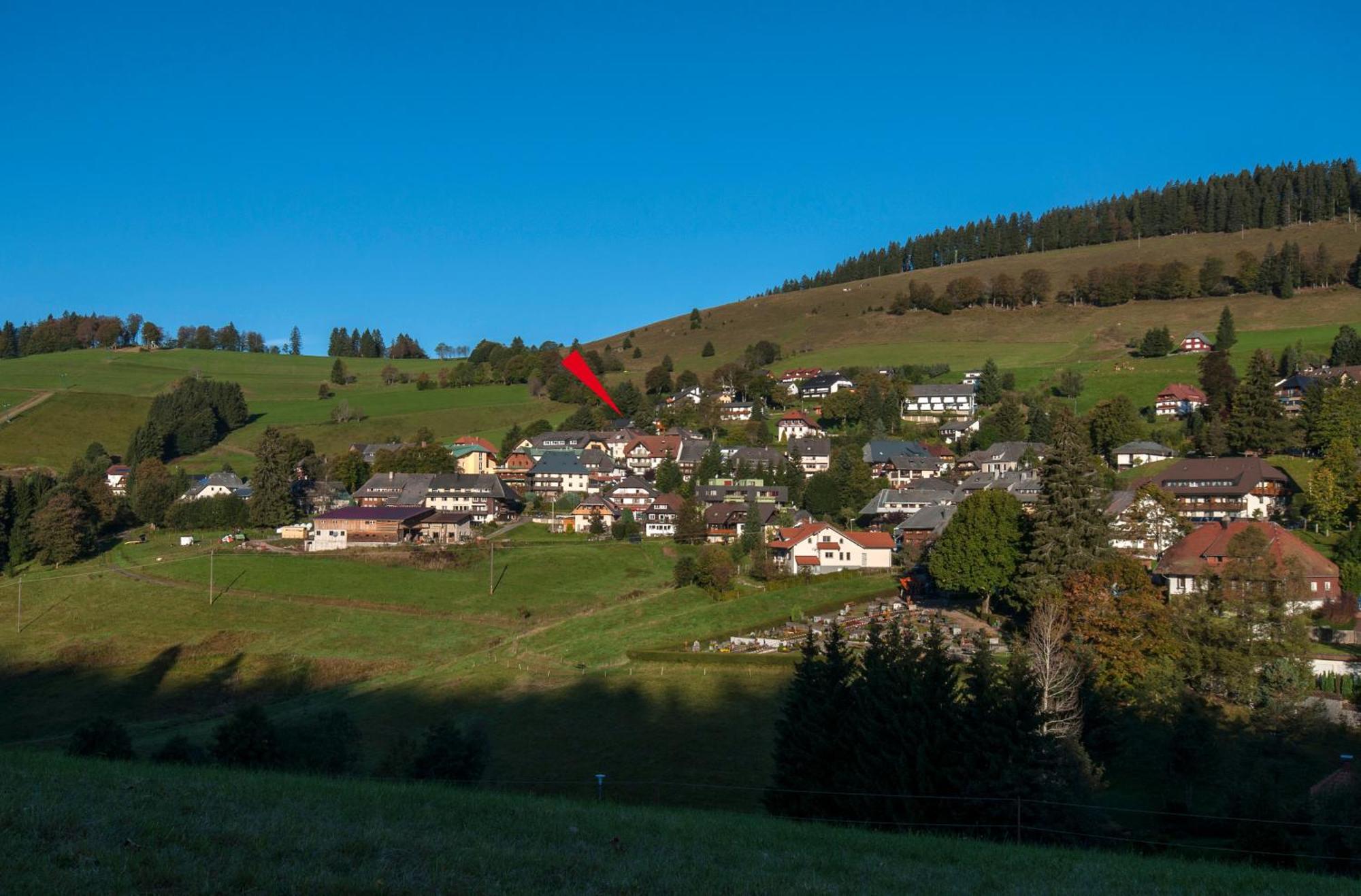 Apartment 03 - Ferienresidenz Roseneck, Mit Schwimmbad In Todtnauberg Bei Feldberg Екстер'єр фото