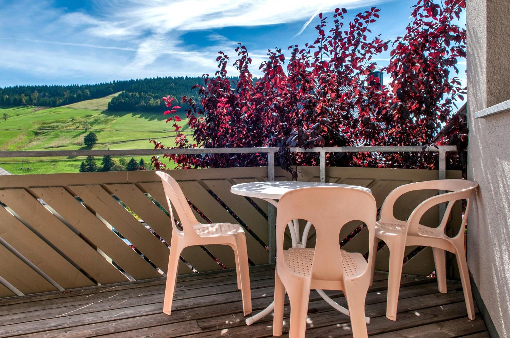 Apartment 03 - Ferienresidenz Roseneck, Mit Schwimmbad In Todtnauberg Bei Feldberg Екстер'єр фото